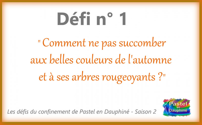 Les défis du confinement - Saison 2 - Défi n° 1