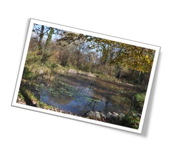 Pastel en Dauphine - Peindre en extérieur - 2021