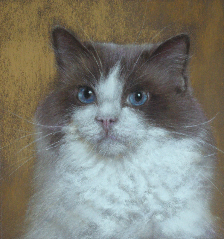 Stage de Michel BORDAS 5e Biennale de Pastel en Dauphiné